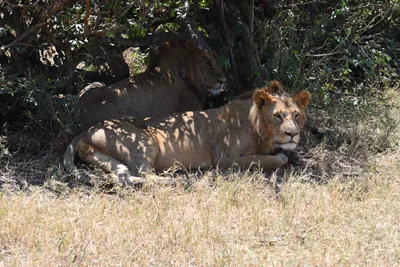 DSC_3543 (Large).JPG